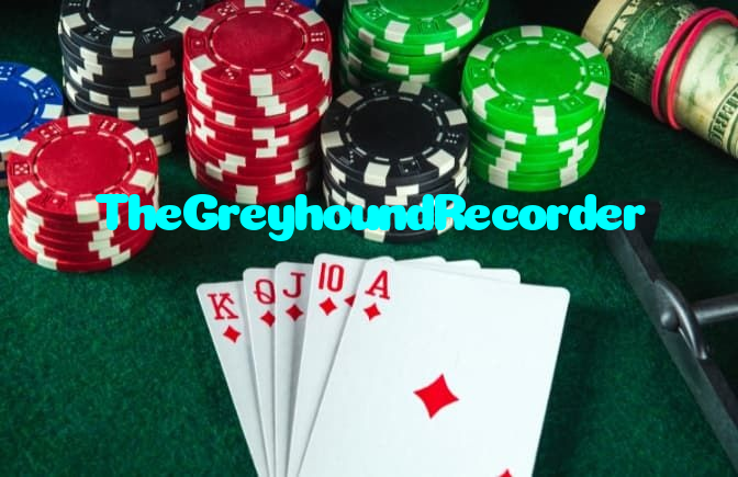 available types of TheGreyhoundRecorder bet including pre-match live express and system bets